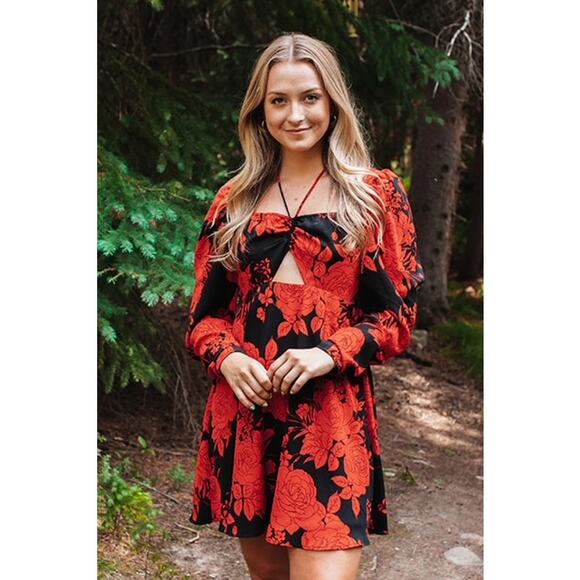 Buddy Love Dresses & Skirts - Buddy Love Women's Small Emi Mini Skater Dress Dhlia Floral Coquette